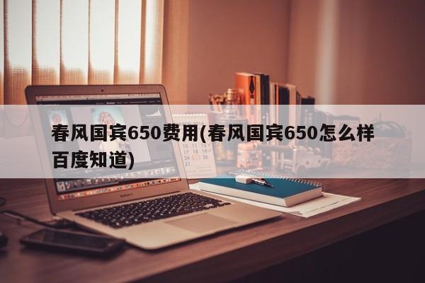 春风国宾650费用(春风国宾650怎么样百度知道)
