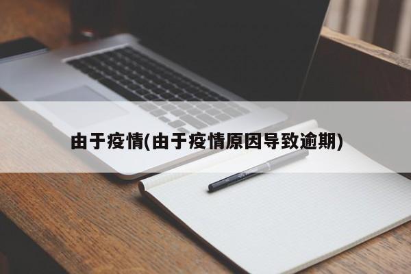 由于疫情(由于疫情原因导致逾期)